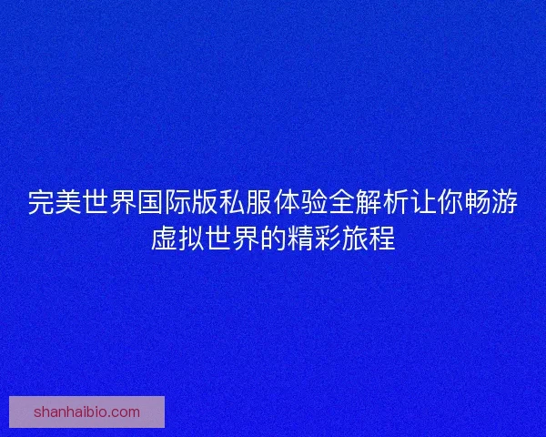 完美世界国际版私服体验全解析让你畅游虚拟世界的精彩旅程 完美世界国际版私服体验全解析让你畅游虚拟世界的精彩旅程